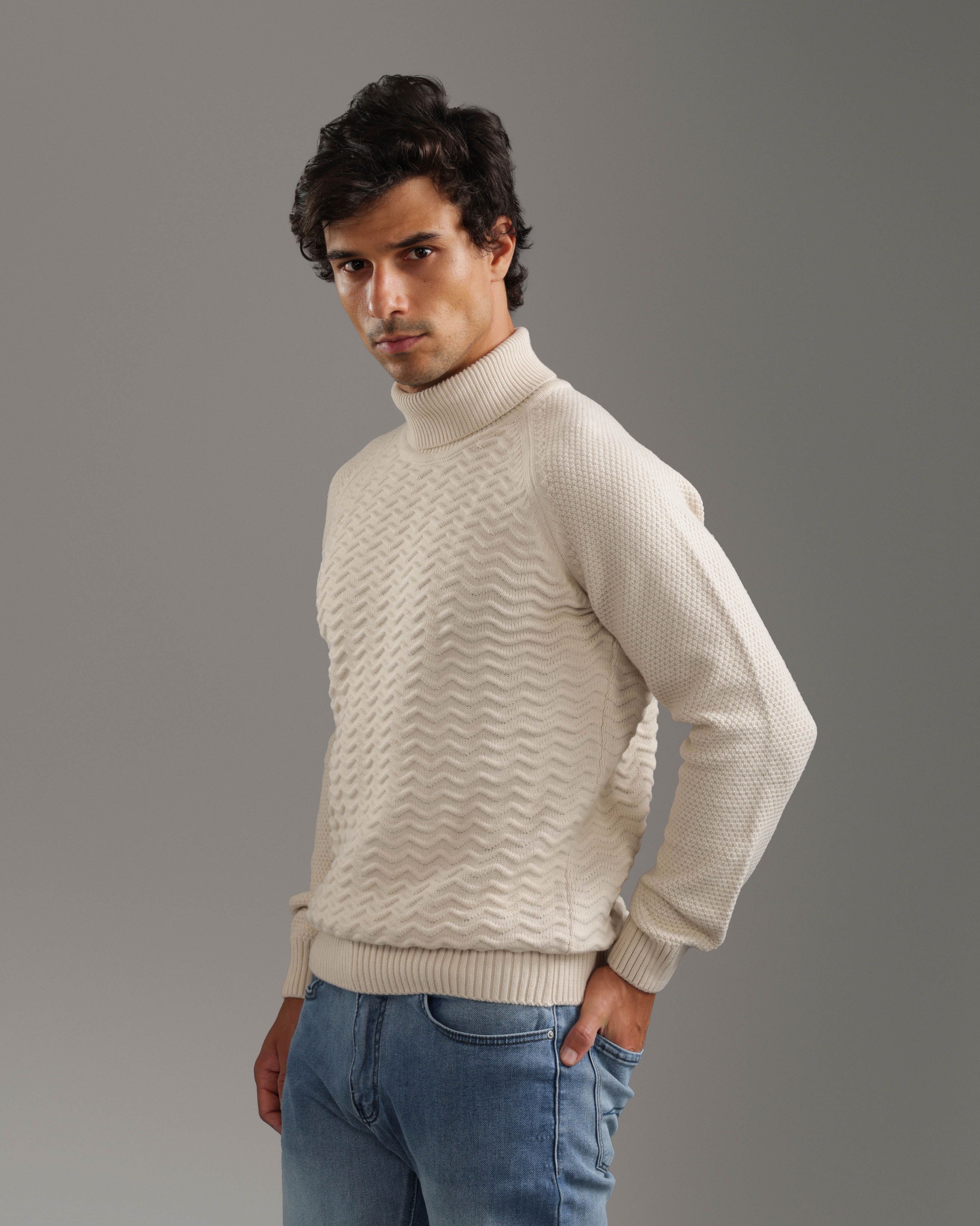 Beige Textured Turtleneck Pullover